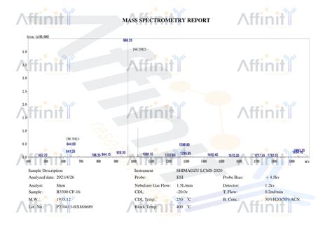 Trmt C Antibody Affinity Biosciences Ltd