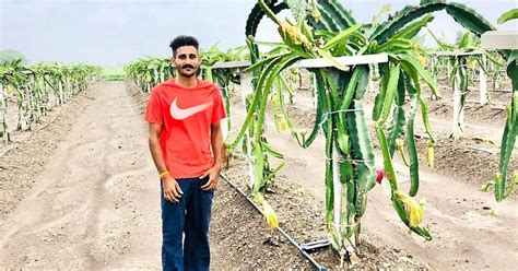 Went Four Years With No Harvest Now I Earn Rs 4 Lakh Acre By Growing