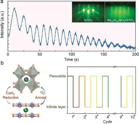 Robust Superconductivity In Infinitelayer Nickelates Xu Advanced