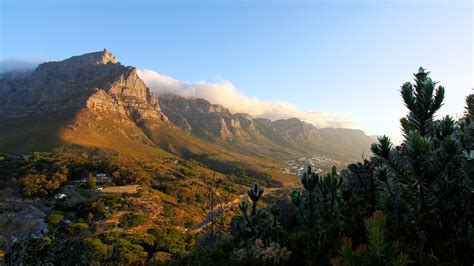 Table Mountain National Park | Cabinets Matttroy