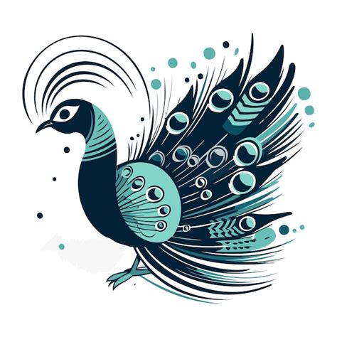 Peacock Illustration Vectorielle Peacock Avec Des Plumes Vecteur Premium