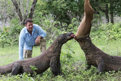 Steve Backshall on racing a Komodo dragon in ITV's Fierce - Radio Times