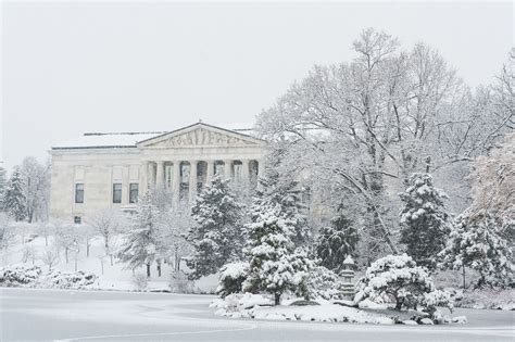 Photography of Buffalo, NY - buffalo winter