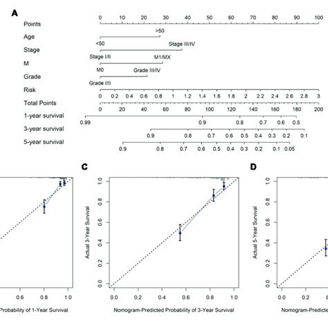 Nomogram And Calibration Plots A 1 3 And 5 Year OS Predicted