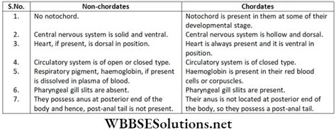 Neet Foundation Biology Chapter 3 Diversity In Living Organisms Long Answer Questions Wbbse