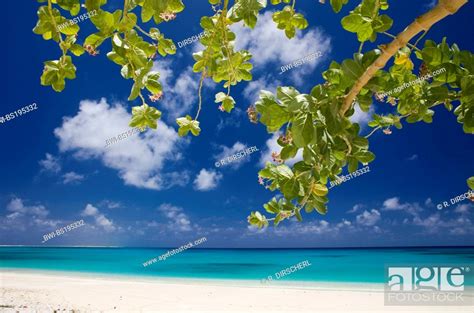 Bikini Lagoon And Resort Federated States Of Micronesia