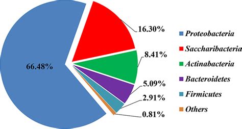 Microbial community structure of the acidophilic biofilms of the ... 