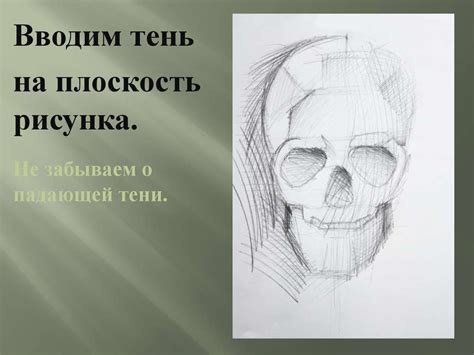 Рисуем череп по канону художников древней Греции - презентация онлайн