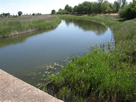 Leve Recuperación Del Acuífero 23 En El Guadiana Que Está A Casi 20