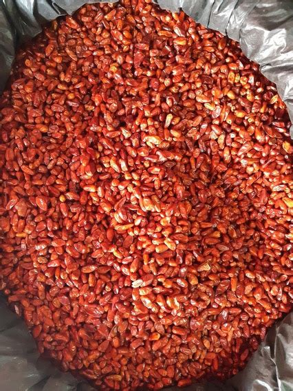 Chile Chiltepin En Mercado Libre México