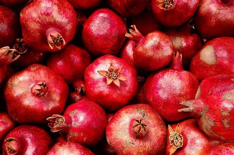 When And How To Harvest Pomegranates Gardeners Path