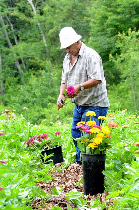 Barberry Hill Farm Farm Staff Part 2 And Beet Recipe