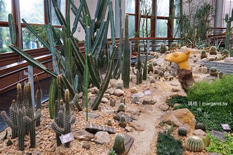 花博公園新生三館。鑽石級綠建築｜台北典藏植物園。賞花不受晴雨影響 瑪格。圖寫生活