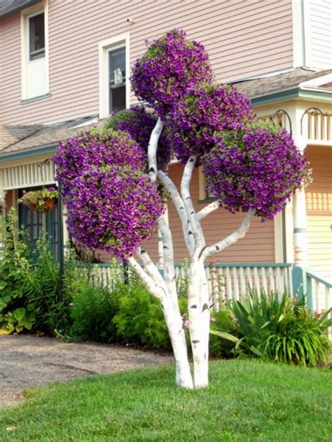 65 Gorgeous Flowering Tree Ideas For Your Home Yard Садовые идеи