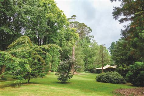 Home Nationaal Bomenmuseum Gimborn Stichting Von Gimborn Arboretum