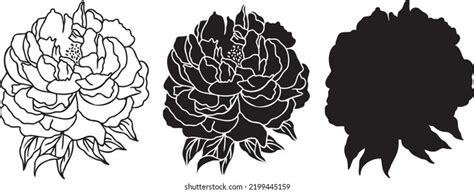 Vector Peonies Svg Outline Hand Drawn