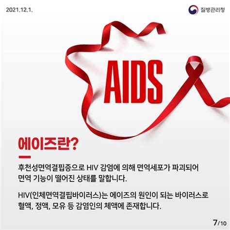 12월 1일은 ‘세계 에이즈의 날올바른 정보와 예방법 전체 카드한컷 멀티미디어 대한민국 정책브리핑