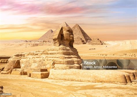 Sphinx Cantik Di Depan Piramida Giza Mesir Foto Stok Unduh Gambar