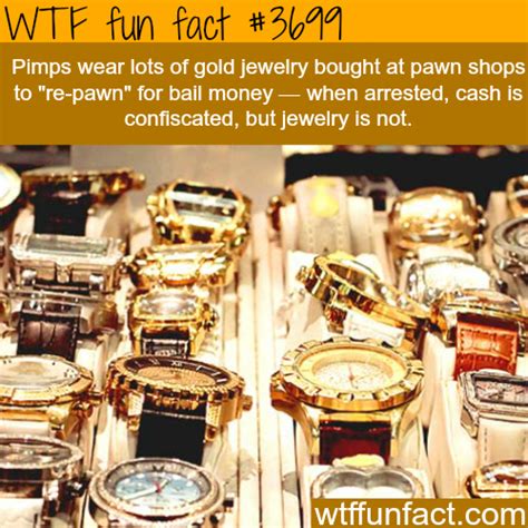 WTF Fun Fact Meme By Powarrows Memedroid