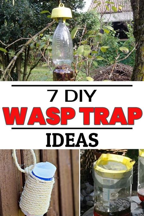 Diy Wasp Trap Ideas For Garden Wasp Traps Wasp Trap Diy Get Rid