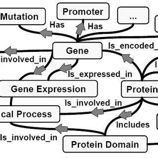 Biomedical Semantic Resource Framework | Download Scientific Diagram 