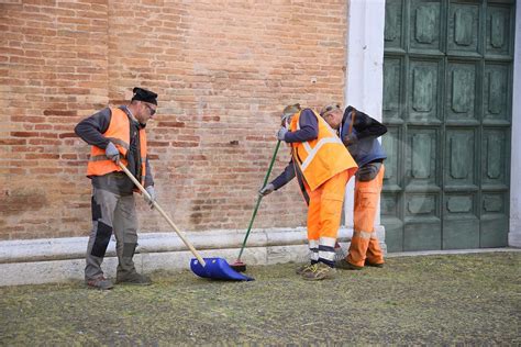 Bagnacavallo In Corso Sfalci E Pulizia Del Verde Ravenna Web Tv