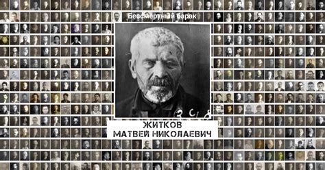 Житков Матвей Николаевич