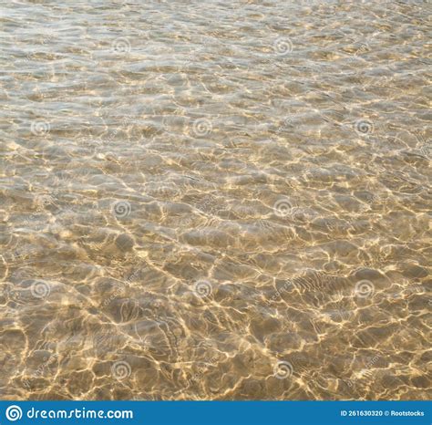 Superficie De Agua Con Ondas Y Reflejos De Rayos Solares Foto De