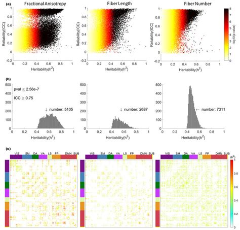 Heritability Distribution Of All Significant And Reliable Edges A