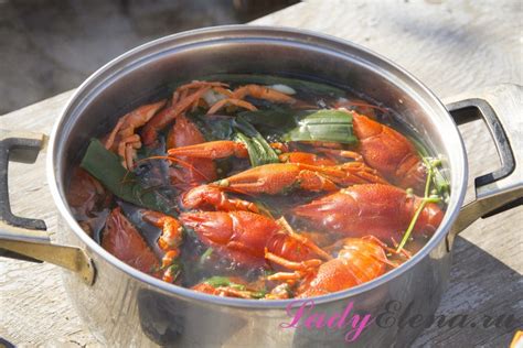 Как правильно и вкусно варить раков? 7 рецептов: с укропом, в пиве ...