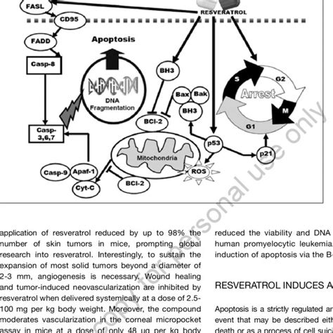 Schematic Diagram Of The Anticancer Mechanisms Of Action Of Resveratrol