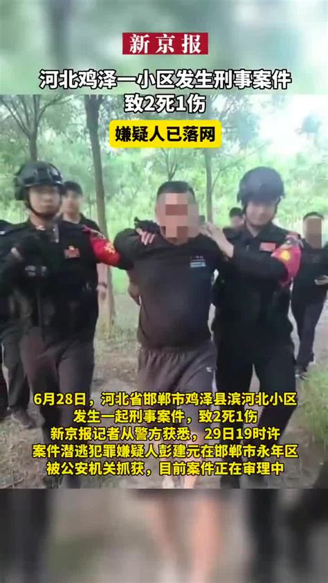 河北鸡泽一小区发生刑事案件致2死1伤，嫌疑人已落网含视频手机新浪网