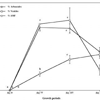 Percentage Root Length Of Agathosma Betulina Colonized By