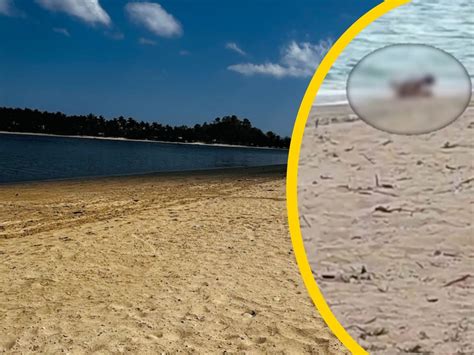 Heiße Liebe am Tropenstrand Touristen Pärchen beim Sex in der Öffentlichkeit erwischt