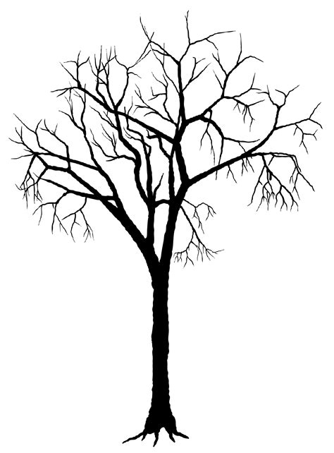 Oak Tree Clipart Black And White | Free download on ClipArtMag