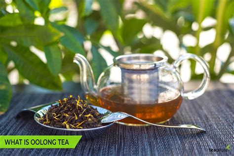 What is Oolong Tea: Uses, Benefits & Best Brands Review - Tea Allure