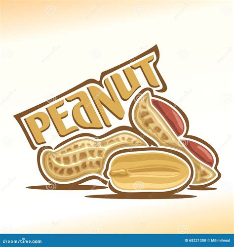 Vector Illustration Of Peanut Stock Vector Illustration Of Cool