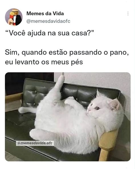 Pin De Izabel Comin Em Humor Fotos Frases Engra Adas Memes