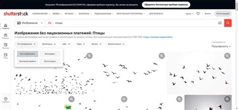 11 лучших поисковых систем интернета для поиска картинок