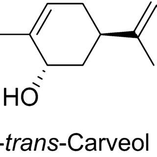 Hypothetical By Product Formation Pathway Biosynthesis Pathway Of