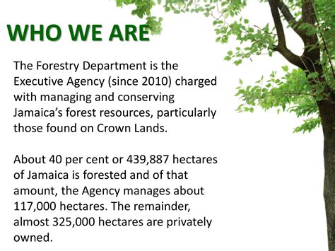 What Are The Three Types Of Forests As Identified By Forest Department