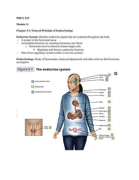 Phgy Module Phgy Module Chapter General Principle