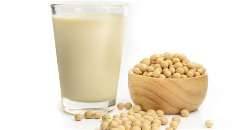 Latte Di Soia Casa Pappagallo