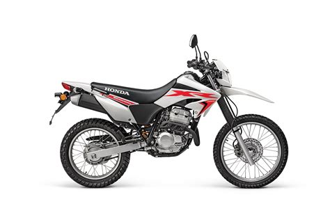 Honda Xr250 Tornado 2024 Corporativo