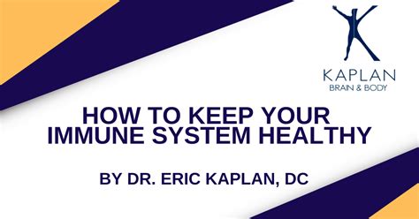 How To Keep Your Immune System Healthy Kaplan Brain And Body