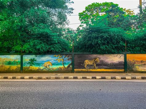 Animal Mural Along The Zoo Outer Wall — Cccs Street Art Contest 1
