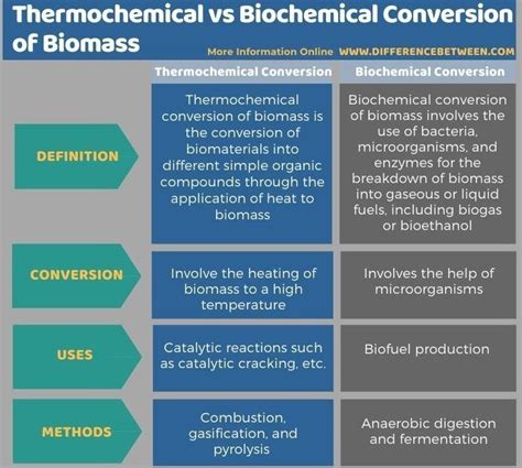 Thermochemical Vs Biochemical Conversion Of Biomass Tabular Form Artofit