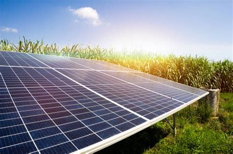 Programa de energia solar do Governo do Paraná possibilita reduzir