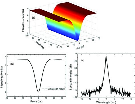 A Typical State Of The Dark Soliton Operation Of The Fiber Laser