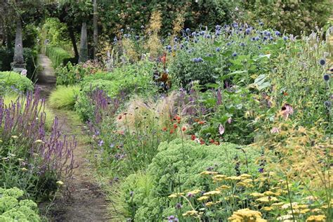 Design Advice For A Wild Informal Garden Finegardening In 2020